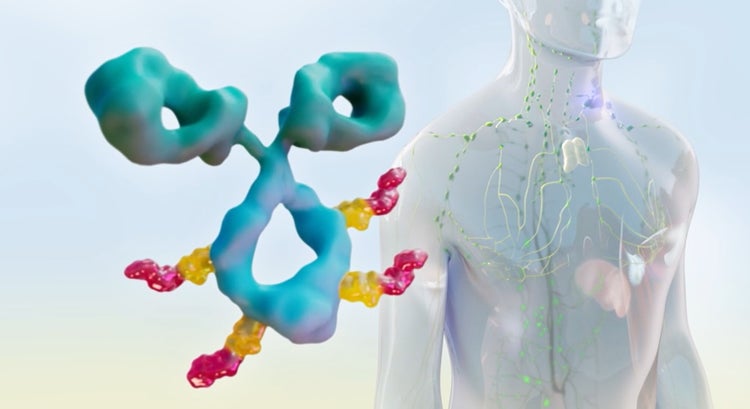 The science of ADCETRIS® (brentuximab vedotin) video thumbnail
