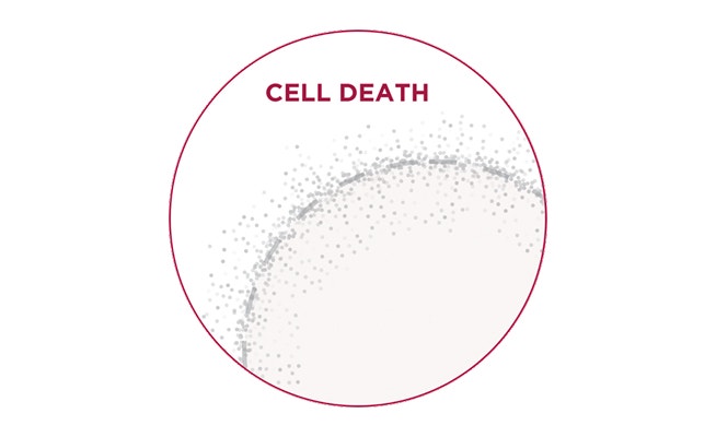 Text stating “Cell Death” showing a circular cell outline with dispersed gray particles inside