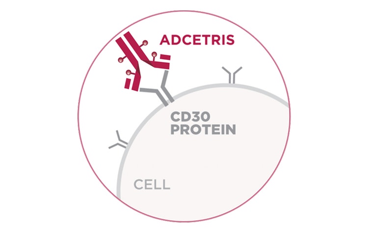ADCETRIS® (brentuximab vedotin) binding to CD30 protein on a cell surface