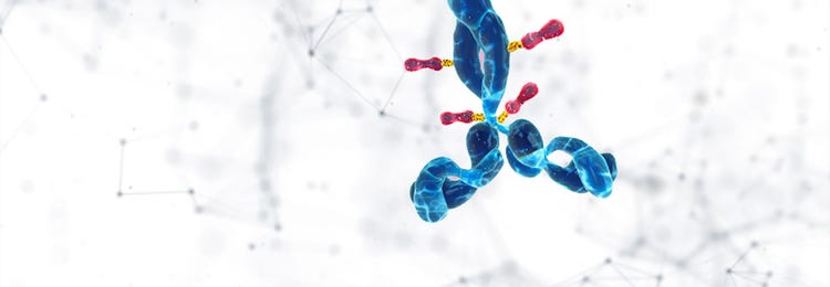 Stylized antibody molecule illustration with blue structures and red binding sites on a white background